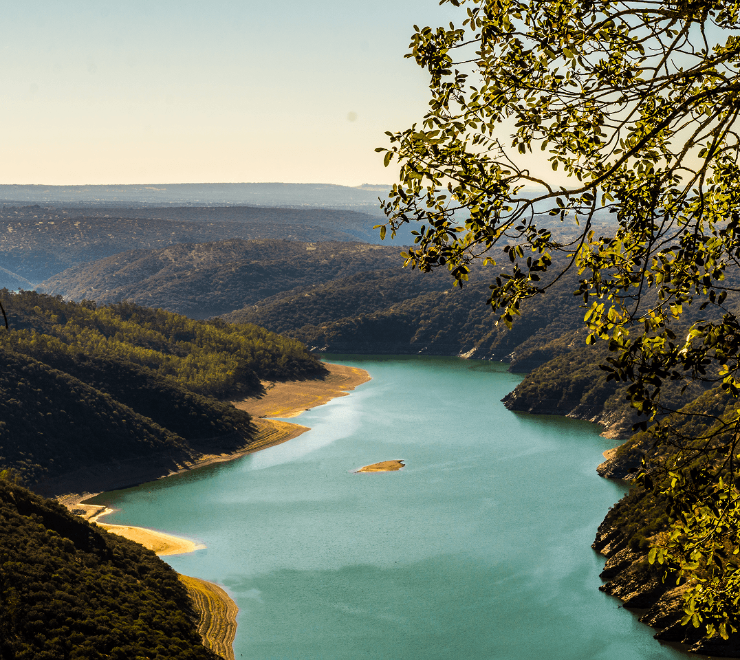 Lush river valley landscape
