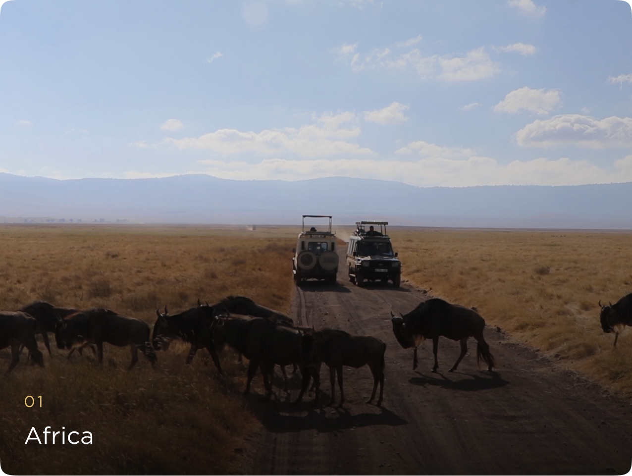 Africa