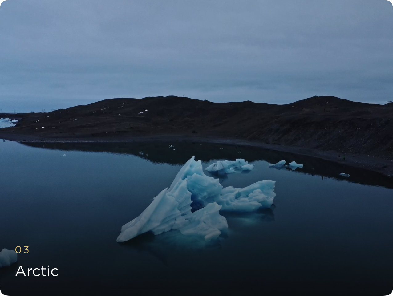 Arctic